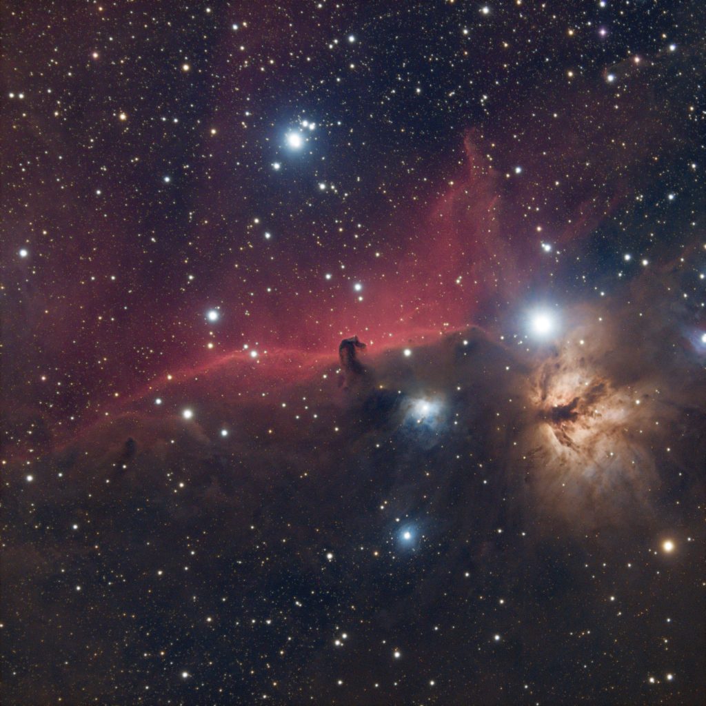 2nd Place - Horsehead Nebula by Bill Chiles